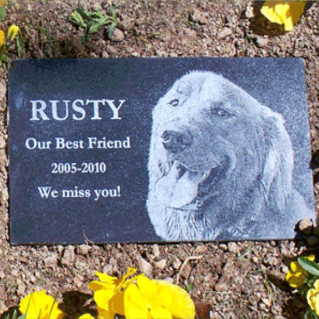Black granite pet marker laser etched with a portrait of a golden retriever